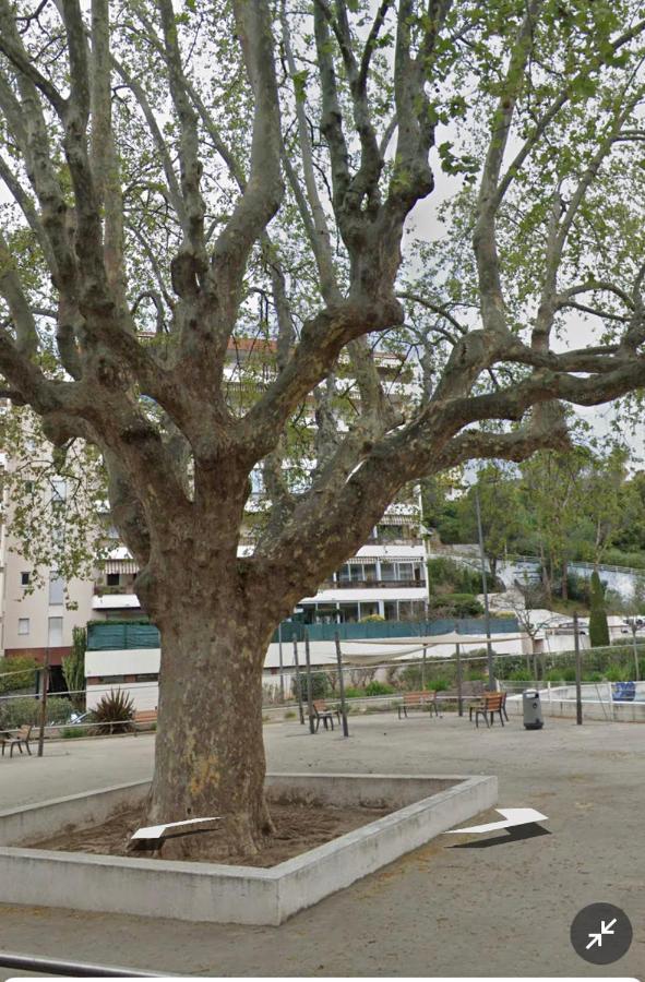 Le Vallombrosa T2 Cannes Exterior foto